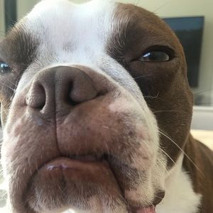 Meet your Posher, Stauber